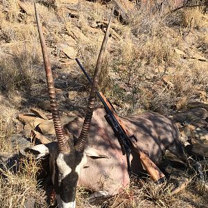 Hunt Gemsbok in Namibia