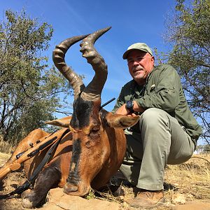 Red Hartebeest Hunt Namibia