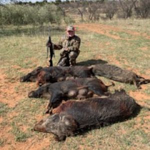 Hog Hunting Texas USA