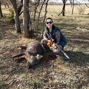 Texas USA Hunting Hog