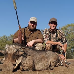 South Africa Hunting Warthog