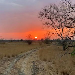 Sunset in Tanzania