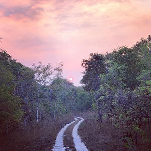 Tanzania Landscape