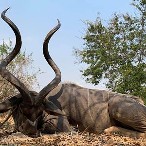 Tanzania Hunt Kudu