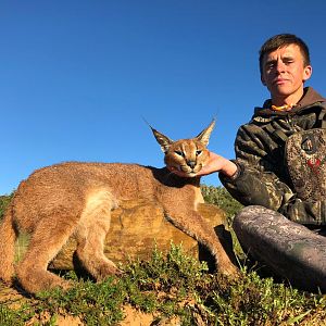 Hunt Caracal in South Africa