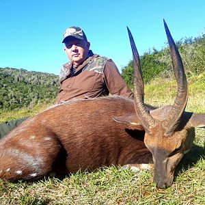 South Africa Hunting Bushbuck