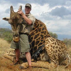 Giraffe Hunt South Africa