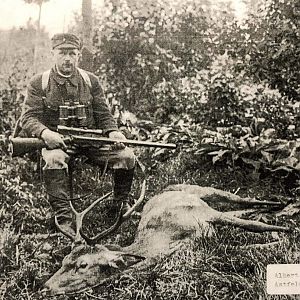 Germany Hunt Red Stag