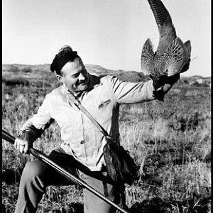 Hemingway and his love of Idaho pheasants