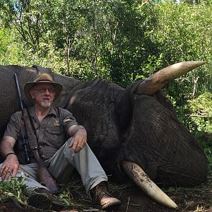 Elephant Hunt Zimbabwe