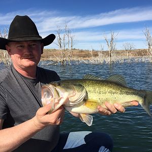 Texas USA Fishing Bass