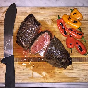 Bison Steak