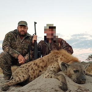 Spotted Hyena Hunting