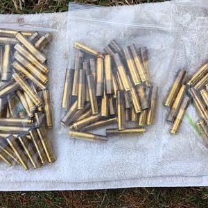 458 Win Brass