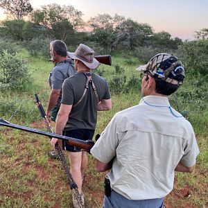 Hunt in South Africa