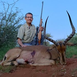 Impala Hunting South Africa