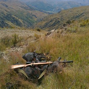 New Zealand Hunt Feral Goats