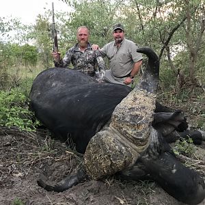 Zimbabwe Hunt Cape Buffalo