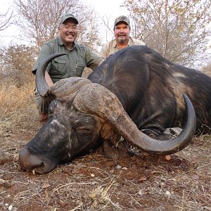 Hunt Cape Buffalo in Zimbabwe