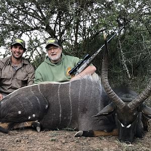 South Africa Hunting Nyala