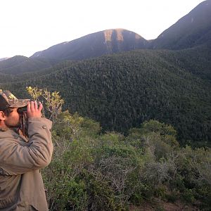 Glassing Game South Africa