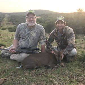 South Africa Hunting Duiker