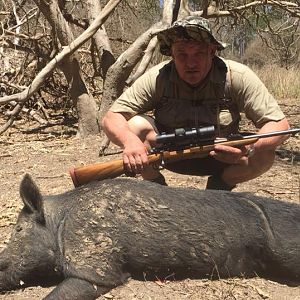 Hunting Boar in Australia