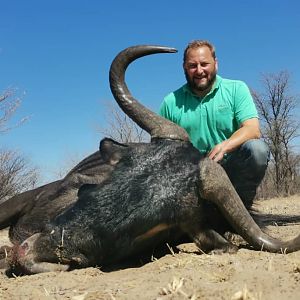 Blue Wildebeest Hunt Botswana