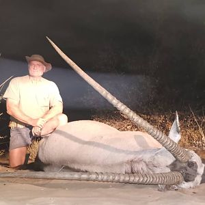 Botswana Hunt Gemsbok