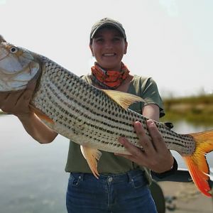 Botswana Fishing Tigerfish