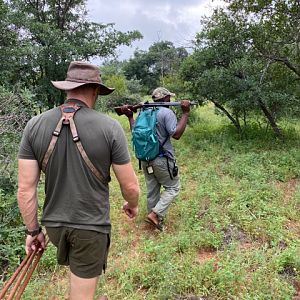 South Africa Tracking Buffalo