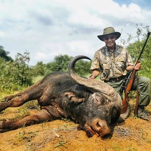 Hunting Buffalo in South Africa