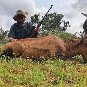 South Africa Hunt Red Hartebeest