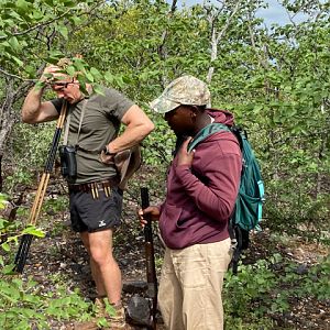 Tracking Blue Wildebeest in South Africa