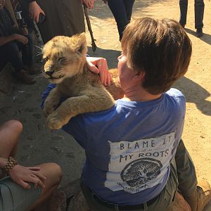 Ukutula Lodge Lion Tour