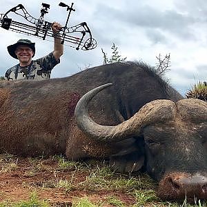 Cape Buffalo Bow Hunt