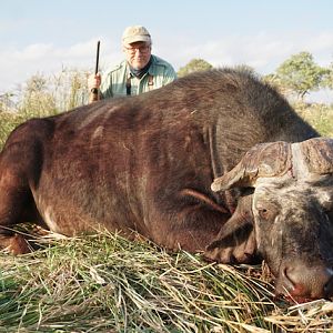 Buffalo Hunting