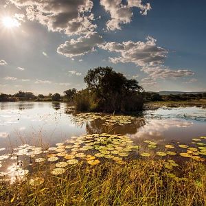 South Africa Hunting Area