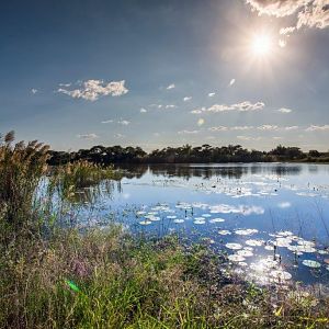 Hunting Area in South Africa