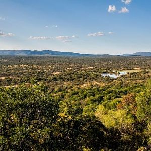 South Africa Hunting Area