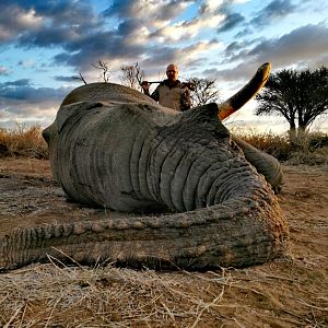 Elephant Hunt South Africa