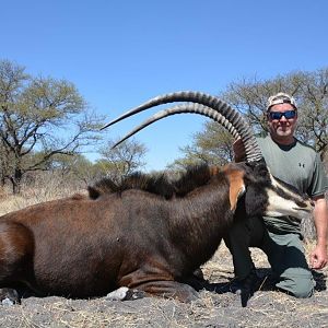 South Africa Hunting Sable