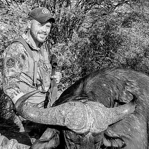 Buffalo Hunting South Africa