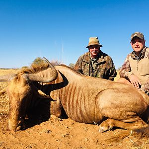 South Africa Hunt Golden Wildebeest