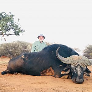 South Africa Hunting Cape Buffalo