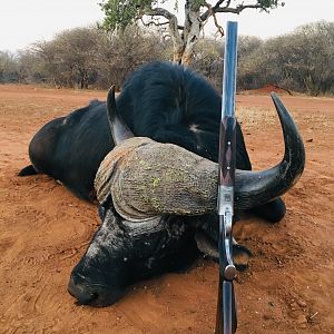 Buffalo Hunt South Africa