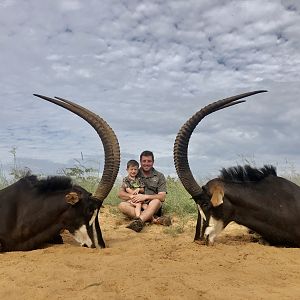 Sable Antelope Hunt South Africa