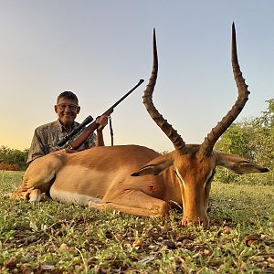 Impala Hunt South Africa