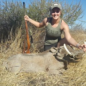 Warthog Hunting South Africa