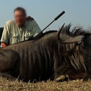 Hunting Blue Wildebeest in South Africa